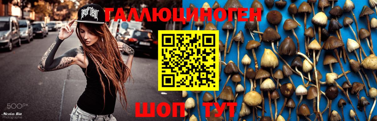 Псилоцибиновые грибы ЛСД Донецк
