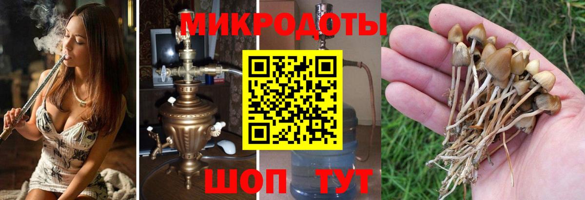 Галлюциногенные грибы GOLDEN TEACHER  Вход с VPN  Донецк 
